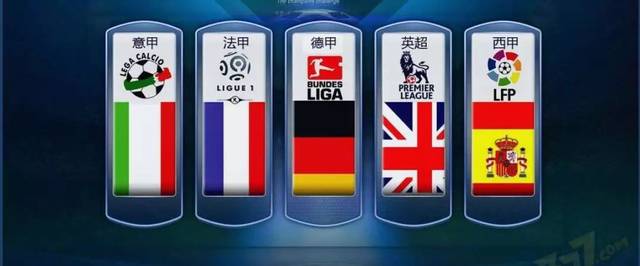 制续约林加 制续约林加